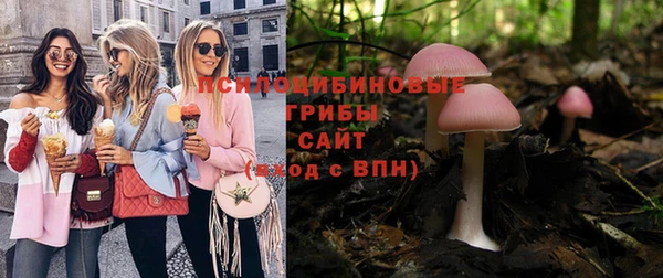 дурь Богданович
