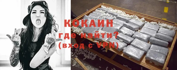стаф Козельск